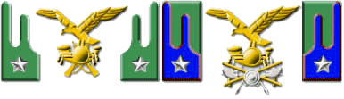 Fregio e mostrine