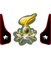 Fregio e mostrine del Reggimento