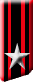 mostreggiatura del 14° fanteria 'Pinerolo'