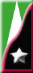Btg. genio 222^ Divisione costiera