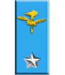 Army Air Force