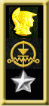 Electronic Armament