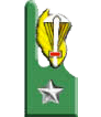 Alpini Paracadutisti