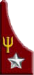 Officer-Psychologist