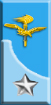 Officer-Veterinary of the Army Air Force