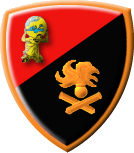 Scudetto omerale del Comando