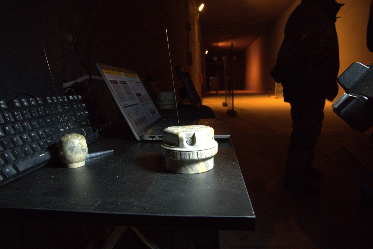 Bild