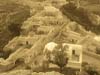 La battaglia di Takrouna