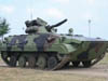 L’Esercito Croato