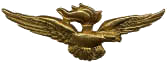 Pilota Osservatore militare
