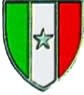 Distintivo Sport militare