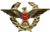 Corso Superiore di Stato Maggiore (Armi)