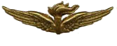 Osservatore d'aeroplano