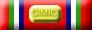 Interforze Operatore CIMIC