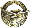 Contingente 'Airone' Kurdistan