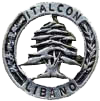 Contingente di pace Italcon