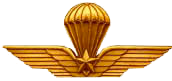 Paracadutista Militare Lancio di guerra