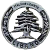 Operazione 'Leonte' Libano