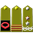 On the epaulettes