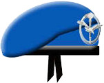 Basco azzurro per l'Aviazione dell'Esercito e Aeromobili