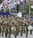 Military Band