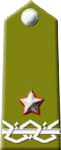 Colonnello con incarichi di comando staff del grado superiore