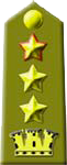 Ten.col. con incarichi di comando staff del grado superiore
