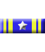Medaglia d'Argento al Valore dell'Esercito