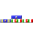Il Medagliere