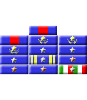 Il medagliere