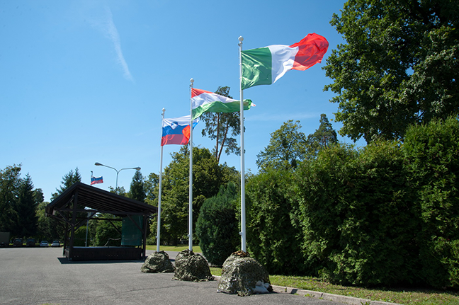 Multinational Lande Force