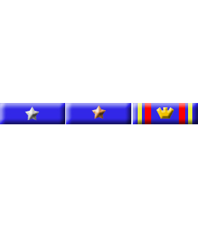 Il medagliere del reggimento