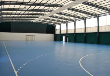 Palestra pallamano