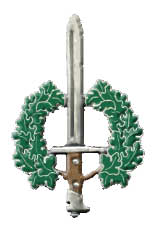 Lo Stemma del Corso