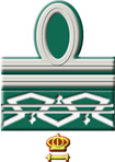 Generale designato d'Armata