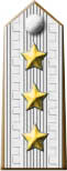 Generale d'Armata (dal 1947 di Corpo d'Armata)