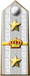 Generale designato d'Armata (abolito nel '47)