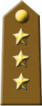 Capitano