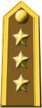 Colonnello