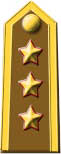 Colonnello Comandante di Reggimento