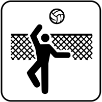 Pallavolo